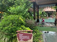 -碧桂园润杨溪谷温泉酒店