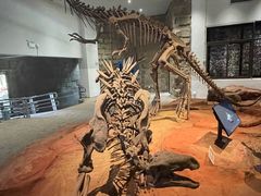 -自贡恐龙博物馆