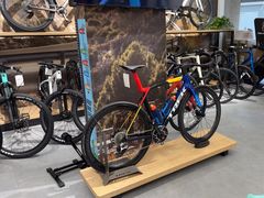 -TREK崔克自行车(碧云店)