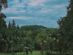 -南沙蒲洲花园