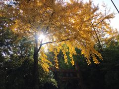 -无锡惠山寺