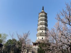 -徽园