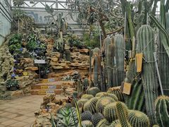 -国家植物园南园