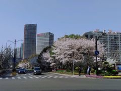 -北外滩滨江绿地