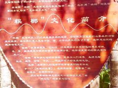 -海南槟榔谷黎苗文化旅游区