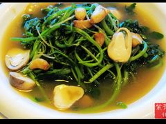 上汤西洋菜-老广酒楼(樱花店)
