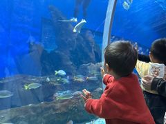 -海合安武汉极地海洋公园