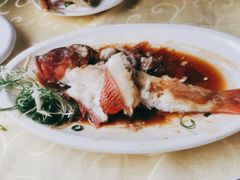 清蒸红星斑-老字号蛇口德记烧腊饭店·海鲜加工