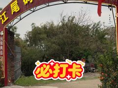 -江尾码头海鲜档