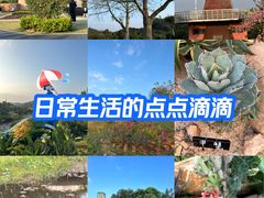 -东莞植物园