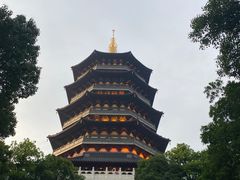 -西湖游船