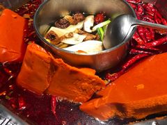 -蜀九香火锅(九眼桥店)