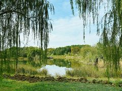 -白鹭湾湿地公园