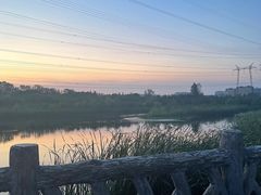 -昆山城市生态森林公园