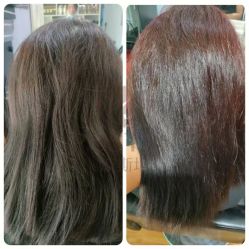 -波斯坦植物养发馆