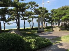 -海云台海滩