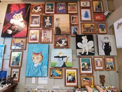 -猫咪博物馆(顶澳仔猫街店)
