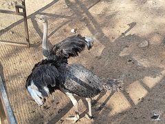 -昆明动物园