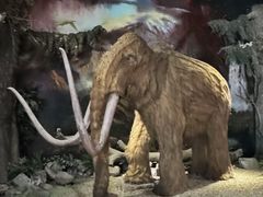 -抚顺煤矿博物馆