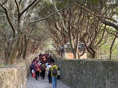 -普陀山慧济禅寺