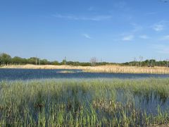 -野鸭湖国家湿地公园