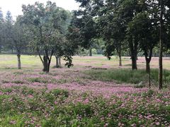 -福建鲤鱼洲酒店