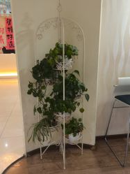 -丽时 Hair Salon