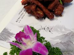 澳洲烤排-乾隆美食·本帮菜(黄河路店)