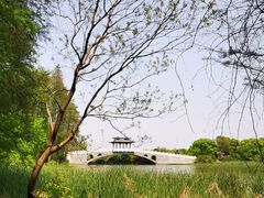 -东湖落雁景区
