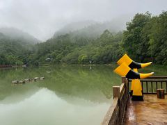 -广州白江湖森林公园