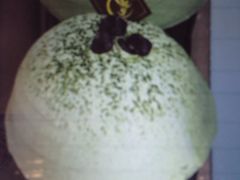 -美丽心情蛋糕(江苏路店)