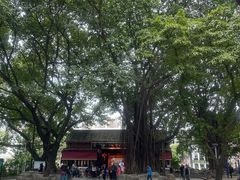 -荔湾湖公园