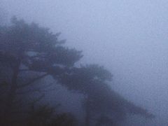 -济南喜来登酒店