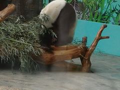 -石家庄市动物园