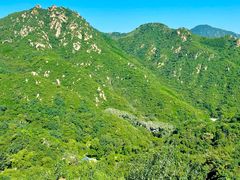 -大岭沟猕猴桃谷风景区