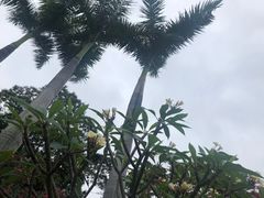 -深圳湾公园(南山区)