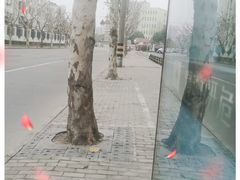 -上海市曹杨职业技术学校