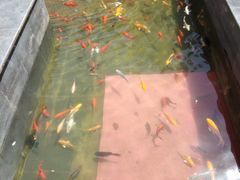 -老北京风情街
