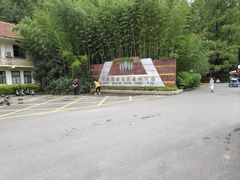 -日照海滨国家森林公园