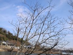 -南北湖风景区