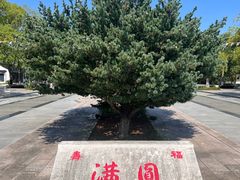 -阳澄湖半岛旅游度假区