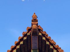-故宫博物院(故宫)