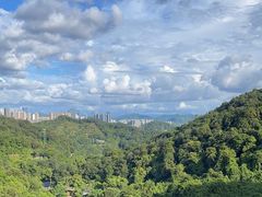 -阳台山森林公园