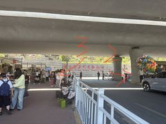 -青藏高原野生动物园