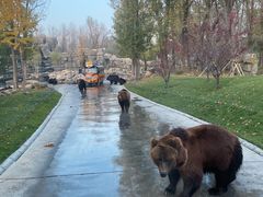 -北京野生动物园