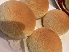 雪顶雄峰-利苑酒家(金宝店)