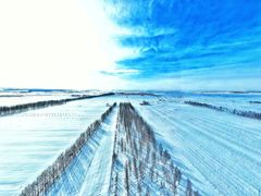 -塞罕坝国家级自然保护区