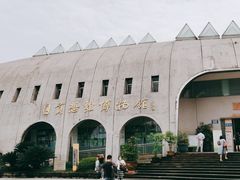 -自贡恐龙博物馆