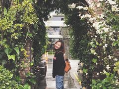 -The Grounds of Alexandria