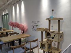 -绒爪撸猫下午茶·猫咖